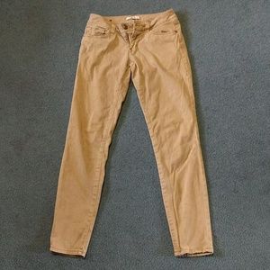 Cabi Pants